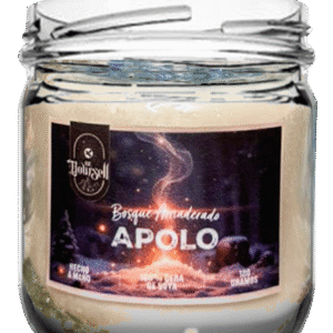 Vela Apolo de 180g con aroma a sándalo y canela, elaborada en cera de soya, para equilibrio y relajación.